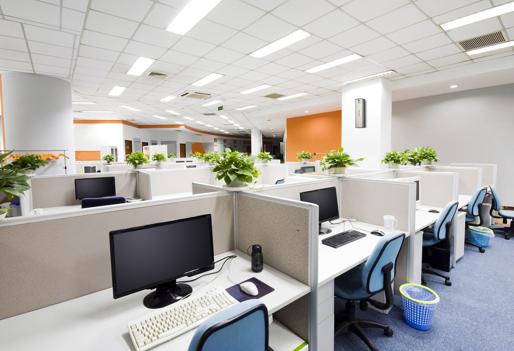 Case Study: Office Germs Reduced by 78% in Independent Test