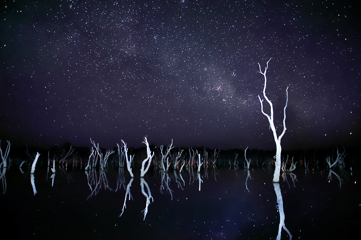 Lake Towerinning Creepy trees Perth Australia small